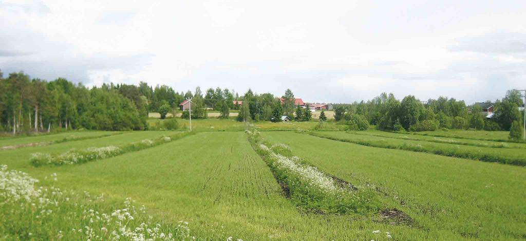 POHJOIS-POHJANMAAN ARVOKKAIDEN MAISEMA-ALUEIDEN PÄIVITYSINVENTOINTI 194 JOKI-KOKON KULTTUURIMAISEMA Kohteen aikaisempi nimi ja arvoluokka Joki-Kokko.