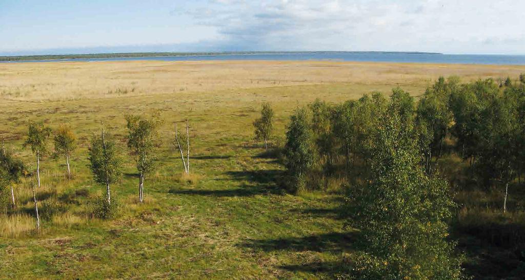 POHJOIS-POHJANMAAN ARVOKKAIDEN MAISEMA-ALUEIDEN PÄIVITYSINVENTOINTI 41 4.3. POHJOIS-POHJANMAAN JOKISEUTU JA RANNIKKO HAILUOTO Maisema-alueen aikaisempi nimi ja arvoluokka Hailuoto.