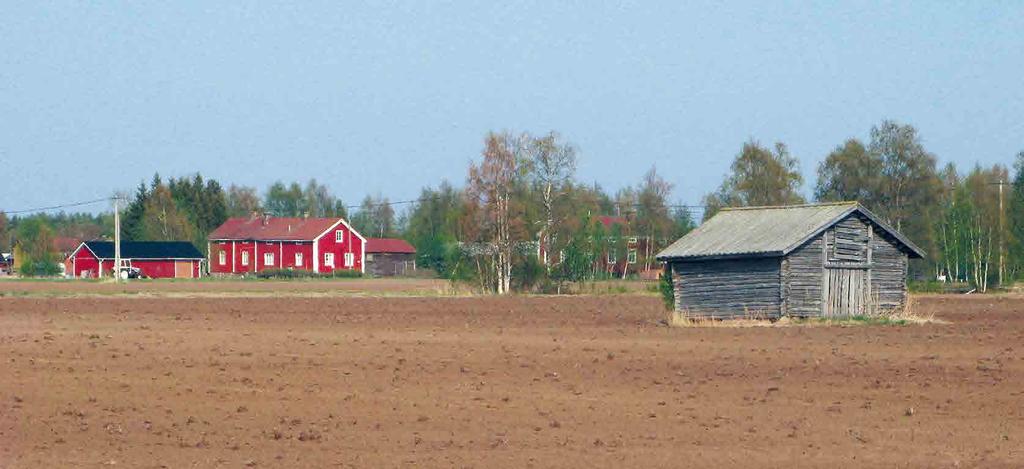 POHJOIS-POHJANMAAN ARVOKKAIDEN MAISEMA-ALUEIDEN PÄIVITYSINVENTOINTI 43 Kuva: Kalle Hellströn sevat tuulivoimalat näkyvät avoimessa maisemassa kauas Hailuotoon saapumisesta viestivinä maamerkkeinä.