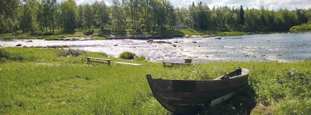 POHJOIS-POHJANMAAN ARVOKKAIDEN MAISEMA-ALUEIDEN PÄIVITYSINVENTOINTI 54 Kuva: Taimi Mahosenaho Aittojärven ympärillä ja Livojokivarressa asutus ja viljelysalueet sijaitsevat maisemassa pieninä,