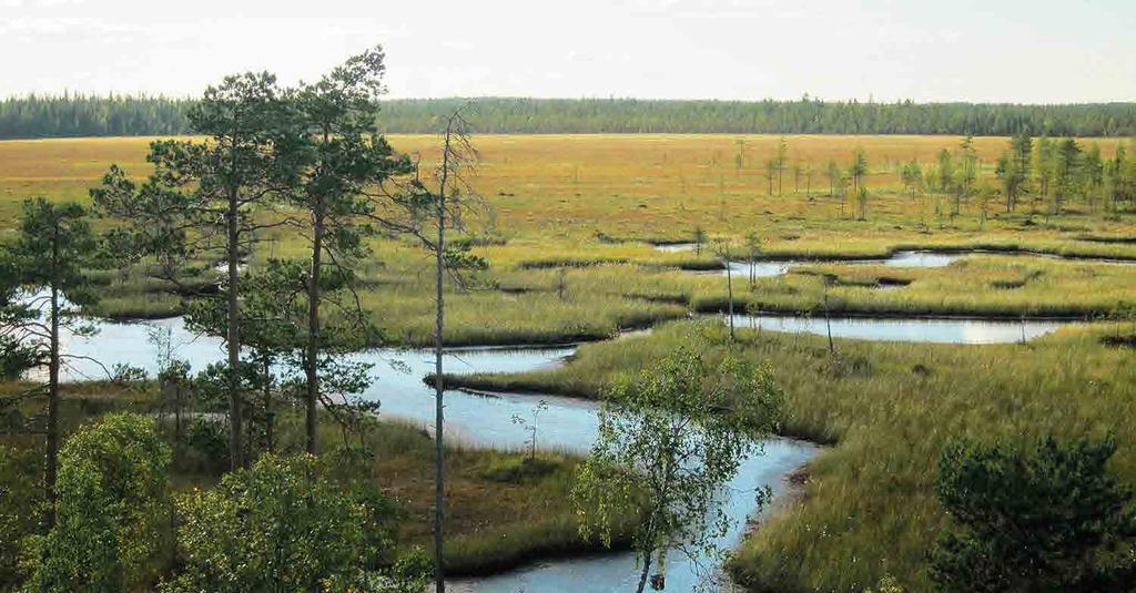 POHJOIS-POHJANMAAN ARVOKKAIDEN MAISEMA-ALUEIDEN PÄIVITYSINVENTOINTI 56 OLVASSUO Maisema-alueen aikaisempi nimi ja arvoluokka Uusi kohde Kunta: Pudasjärvi, Utajärvi, (Puolanka) Kuva: Miisa Pietilä
