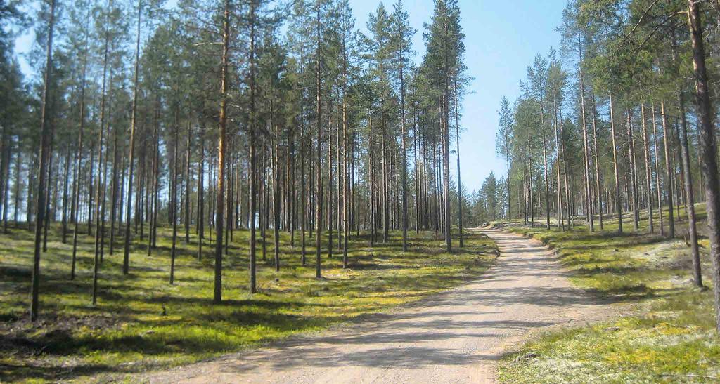 POHJOIS-POHJANMAAN ARVOKKAIDEN MAISEMA-ALUEIDEN PÄIVITYSINVENTOINTI 59 ROKUANVAARA Maisema-alueen aikaisempi nimi ja arvoluokka Ahmas Rokua.