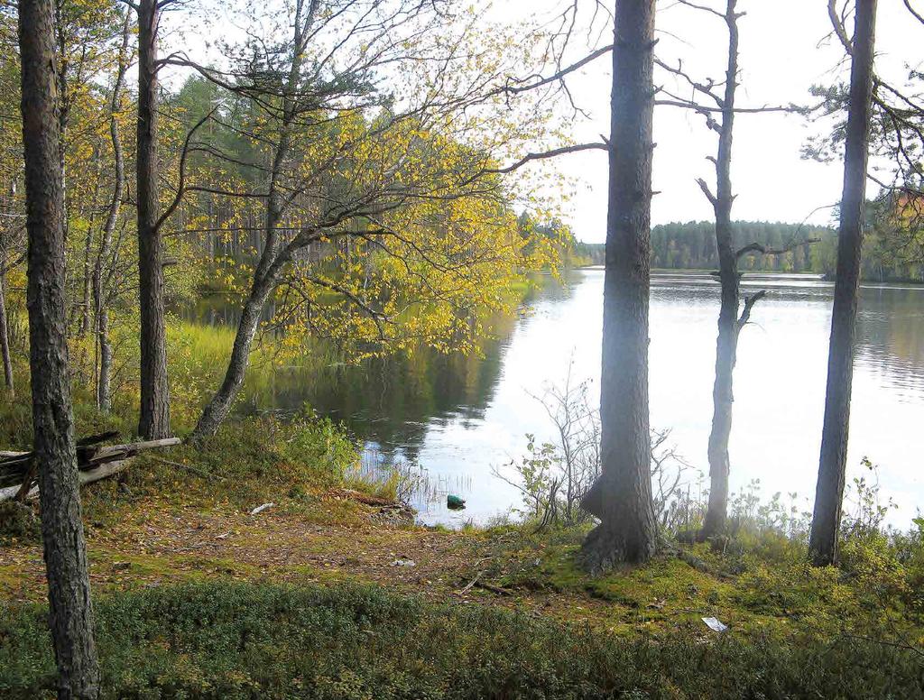 POHJOIS-POHJANMAAN ARVOKKAIDEN MAISEMA-ALUEIDEN PÄIVITYSINVENTOINTI 60 Se on osa harjujaksoa, joka ulottuu Sotkamosta Oulujärven kautta aina Pohjanlahden rannikolle ja Hailuotoon saakka.