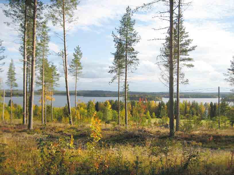Kylässä on hyvin säilynyttä perinteistä rakennuskantaa ja paljon myös uutta rakennuskantaa.