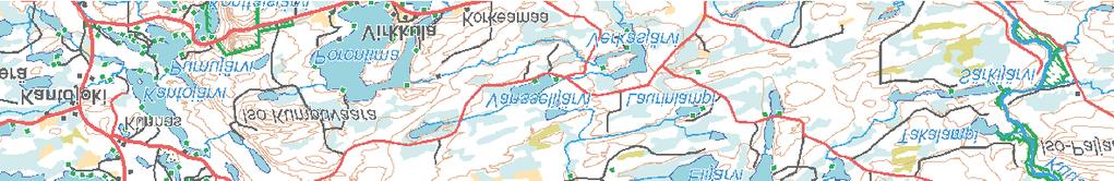 valtioneuvoston periaatepäätös 1995