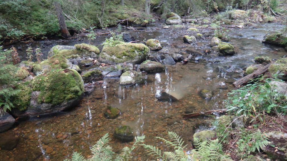 (Ylöjärvi) Kunnostuksen