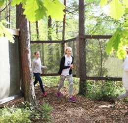 Labyrintti Tavoitteena on ryhmässä toimiminen, kavereiden kannustaminen ja tehtävien ratkaiseminen. Ohjelmassa tehdään erilaisissa ryhmätehtäviä metsälabyrintissä. Ulko-ohjelma, säänmukainen varustus.