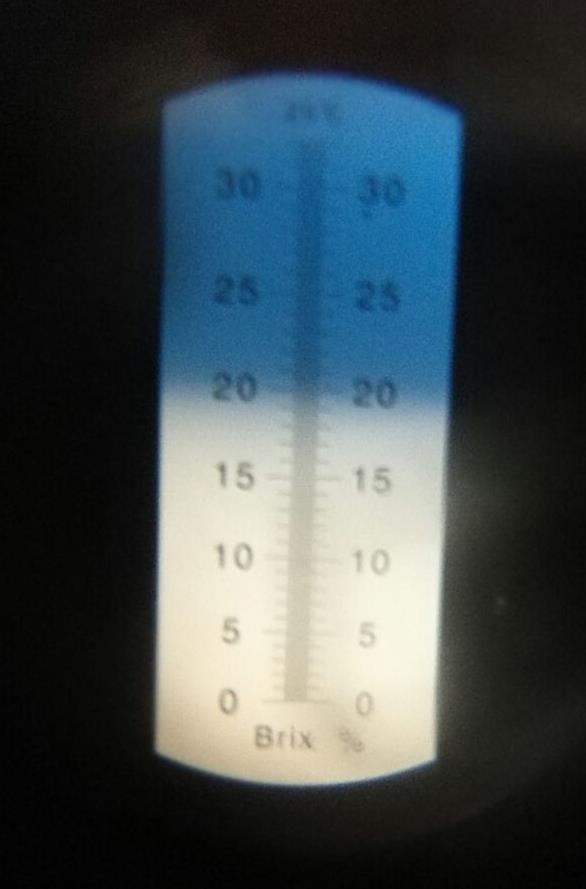 22 Kuva 2. Kuvassa on okulaarista katsottu näkymä. Valkoinen raja osoittaa vastaaineiden pitoisuuden Brix-asteikoilla. 4.