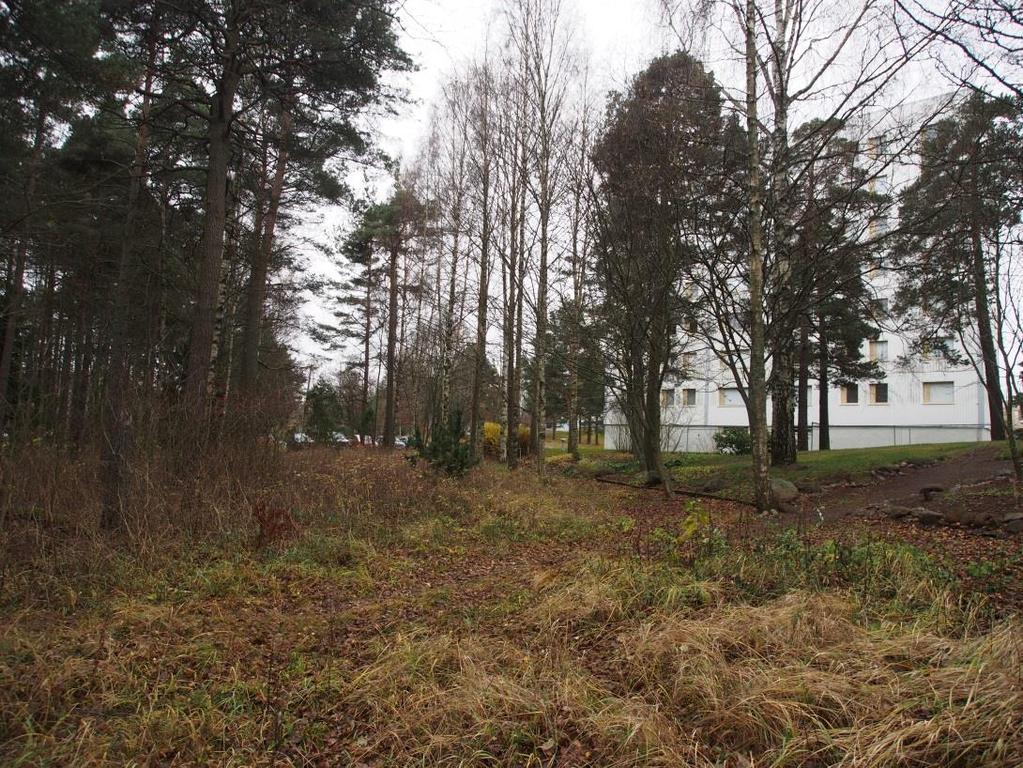 Kaava-alueen pohjoisosa on poistuvan kaavan mukaan lähivirkistysaluetta.