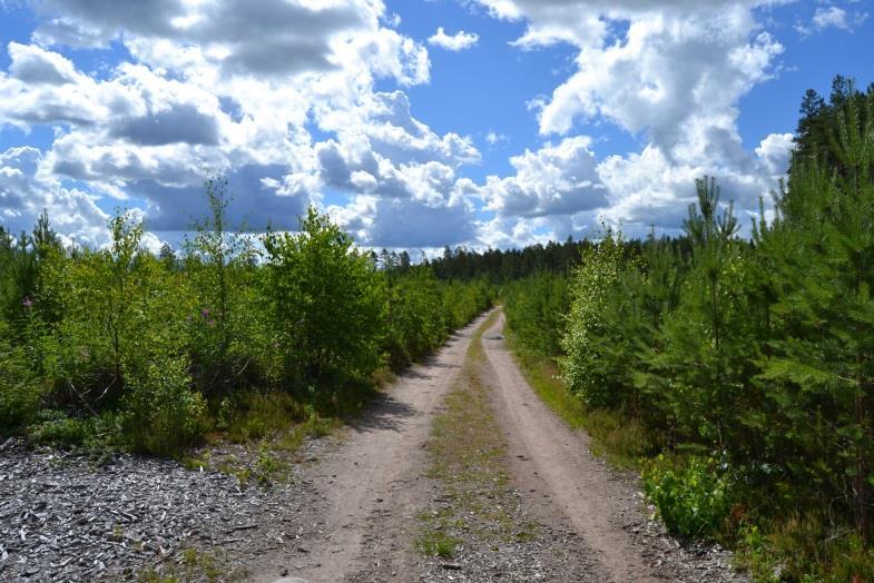 35 5.5 Metsätalous Pohjavesialueilla pyritään nykyään välttämään ojituksia, kunnostusojituksia ja lannoituksia, mutta metsätalouden toimenpiteistä hakkuut ja maanmuokkaus lisäävät valumavesien määrää