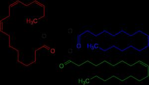 Tunnetko triglyseridit?