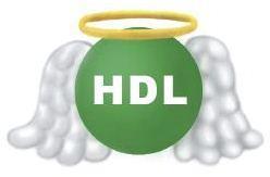 LDL ja HDL Kolesteroli Huono kolesteroli (LDL) kulkeutuu verestä verisuonten