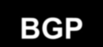 BGP Autonomisten verkkojen välinen reititysprotokolla. Äärimmäisen monimutkainen.