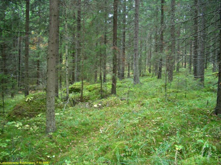 3 Inventointi Ruohosaaren osayleiskaavan muutoksessa on suunniteltu saaren läntiseen osaan uudisrakentamista, sekä sillan rakentamista Skinnarilasta Uittimensalmen yli Ruohosaaren luoteispäähän.