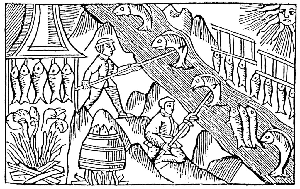 Fisket i älven och skärgården Det rika laxfisket i Torne uppmärksammades av Olaus Magnus - figur 1- vid besöket sommaren 1519.