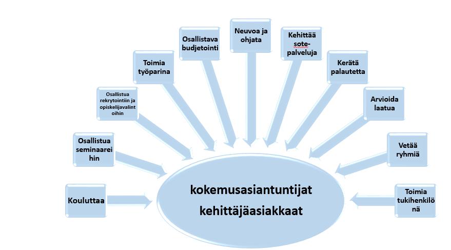 12 Kuvassa 2. jäsennämme joitakin tapoja, joilla kkehittäjäasiakkaat- ja kokemusasiantuntiojat voivat osallistua palveluiden suunnitteluun, kehittämiseen ja toteuuttamiseen.