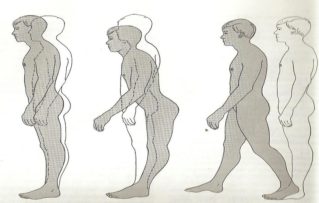 8 liiketunto eli somatosensoriikka. (Talvitie ym. 2006, 231,228; Peterka & Loughlin 2004, 410; Pajala ym. 2008, 136.