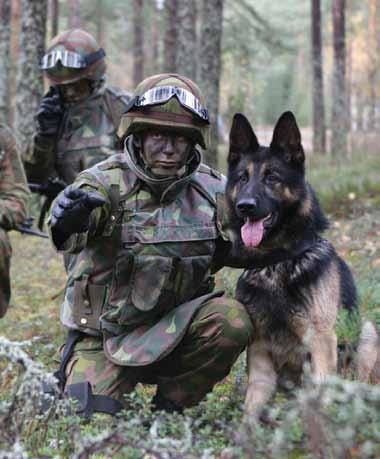 Aliupseereiksi koulutettavat suorittavat alokaskauden jälkeen sotilaspoliisialiupseerikurssin, jonka jälkeen he siirtyvät sotakoiraosastolle ryhmänjohtajiksi.