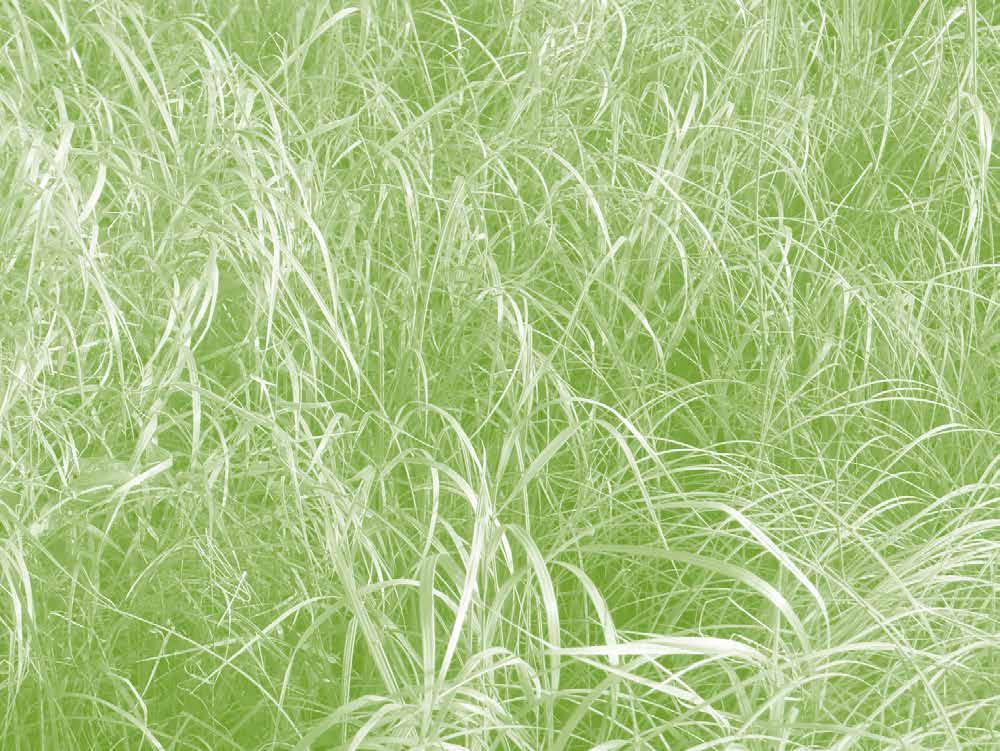 LUONTOA ELÄMÄÄN HANKKEESSA YHDISTETÄÄN GREEN CARE Luontoon ja