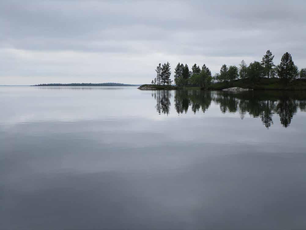 Kiitos. Kysymyksiä?