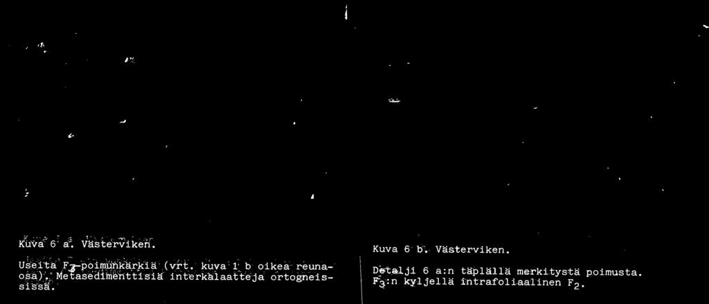 lnt'erkalaatte Ja ortognels- SlSSa.,... - ~..:.... l.