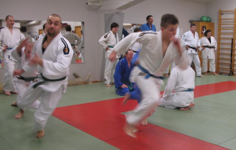 Judoliitossa on kouluttajilla käytössä kouluttajalisenssi, jonka edellytyksenä on kouluttajan säännöllinen kouluttajatehtävä toimintavuoden aikana sekä osallistuminen vuosittaiseen