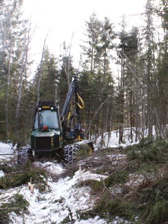 Suomen suojelualueilla laiduntaa jo arviolta 20 000 eläintä nautaa, lammasta ja hevosta. Myös suurinta osaa Luonnonhoito-LIFEn kohteista hoitavat jatkossa nelijalkaiset luonnonhoitajat.