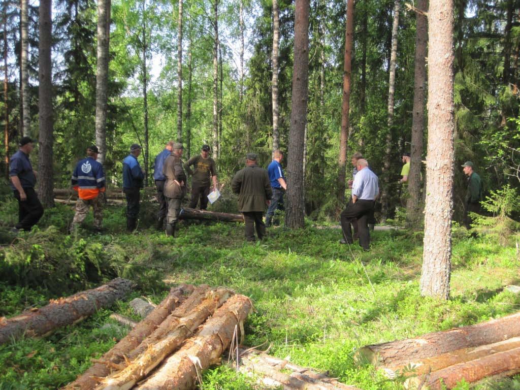 4. a) Toimihenkilöiden koulutussuunnitelma vuodelle 2014 KOULUTUS JA KURSSIT PALAVERIT JA AIHEET TAPAHTUMAT JA KILPAILUT Tammikuu Metsälaki, Hyönteistuholaki 1 krt/2 kk koko mhy:n videoneuv.