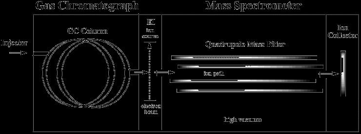 5 2.3.2 Massaspektrometria Kaasukromatografiin voidaan yhdistää monenlaisia detektoreja, joista herkimpiä ovat massaspektrometridetektorit.