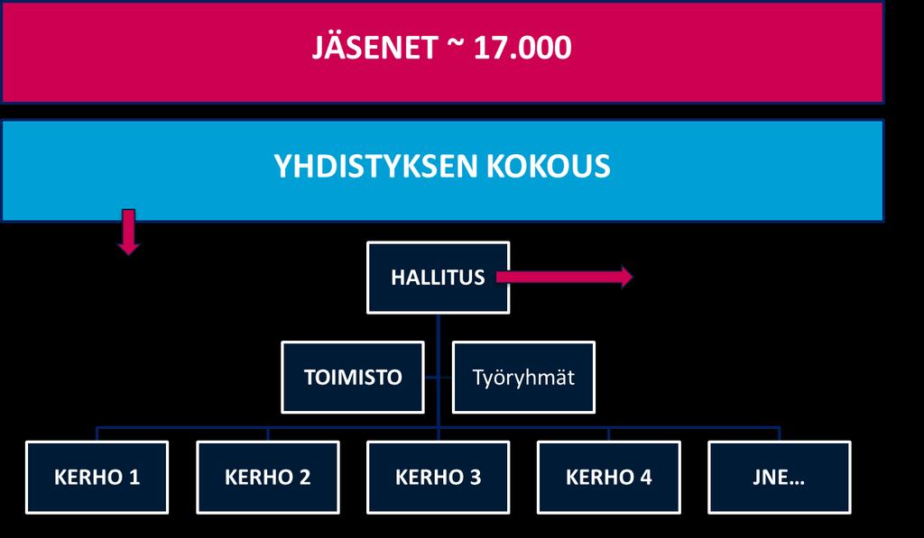 4 HALLINTO 4.1 HALLINTORAKENNE Yhdistyksellä on vuonna 2018 yksi sääntömääräinen kokous, joka kutsutaan koolle sääntöjen mukaisesti vähintään viisi päivää ennen kokousta.