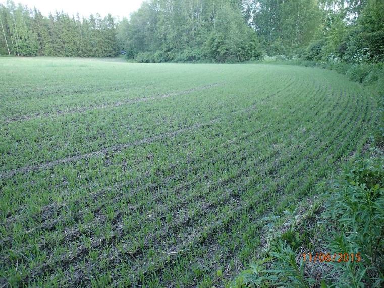 inventointi Paikka sijaitsee Lappeenrannan keskustasta 9,0 km itään.