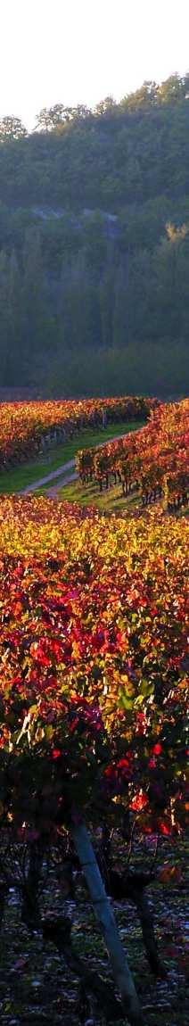 Languedoc Agnès ja Denys Armand Mas d Espanet, Saint Mamert du Gard Agnès ja Denys Armand o%vat vuonna 1980 haltuunsa $lan nimeltä Mas d Espanet Languedocin pohjoisosassa.