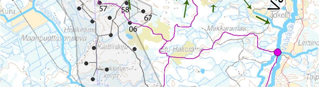 Vaikutukset luontodirektiivin liitteen II lajeihin Jäkälänevan Natura 2000 -alueella ei ole tietolomakkeen mukaan luontodirektiivin liitteen II lajeja, joten vaikutuksia ei synny.