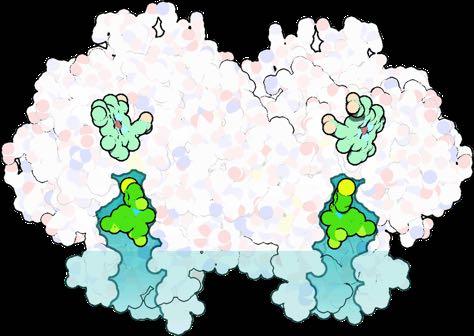 Entsyymit)lääkeaineiden) kohdemolekyyleinä Substraatti Entsyymi Esim.