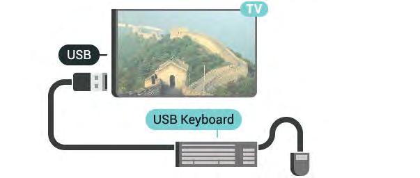 4.12 USB-kiintolevy 5 - Kun USB-kiintolevy on alustettu, jätä se paikoilleen. Vaatimukset Jos liität televisioon USB-kiintolevyn, voit keskeyttää tai tallentaa televisiolähetyksen (DVB tai vastaava).
