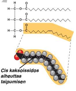 Tyydyttymättömillä rasvahapoilla sulamispiste nousee myös molekyylipainon kasvaessa, mutta ne ovat alhaisempia kuin tyydyttyneillä rasvahapoilla.