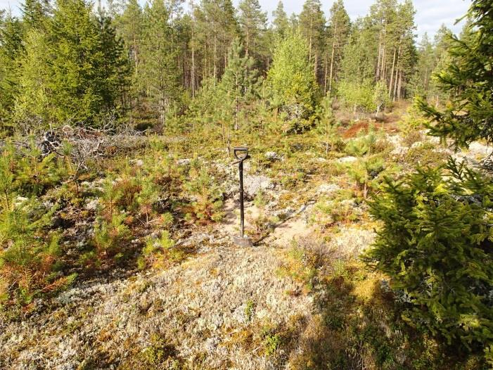 kaara, jonka pohjoisosasta, metsänhoitolaikusta löytyi pari selvää kvartsi-iskoksta. laikuissa ei havaittu muuta.