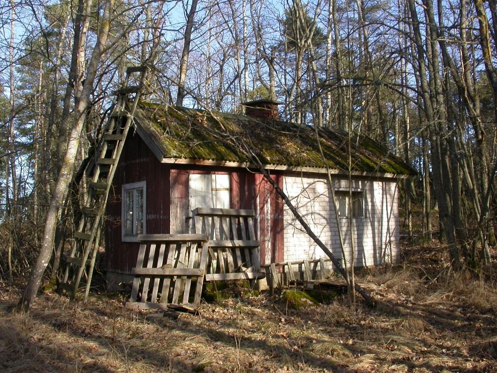 NAANTALIN TAMMINIEMEN LEPAKKOSELVITYS 2015 8 Muut rakennukset Muut rakennukset (sauna ja talousrakennukset) tutkittiin samalla tarkkuudella kuin päärakennus.