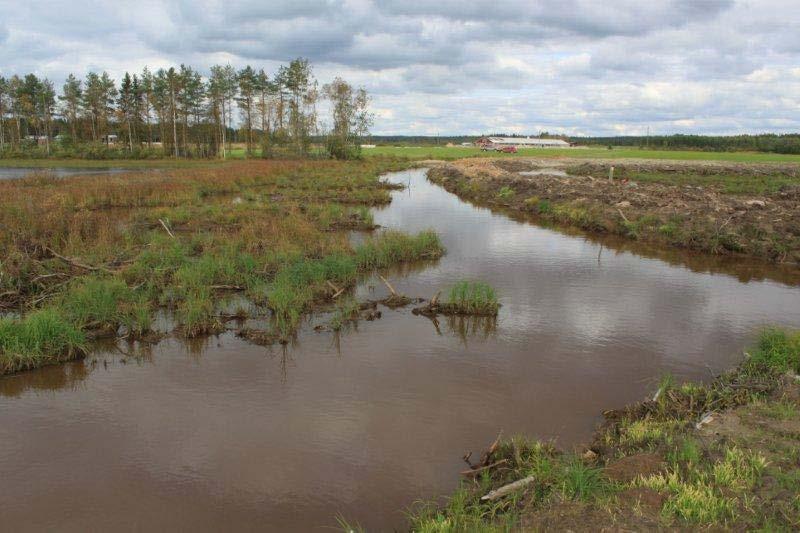 Kosteikon vedenpintaa säädellään patovalliin rakennetulla pohjapadolla, johon tuli kiinteä tiivisteosa ja suodatinkangas, pohjapato verhoiltiin kivillä.