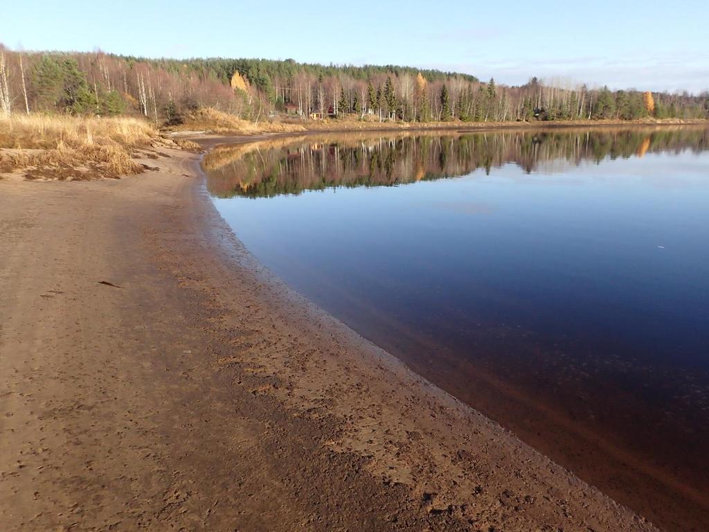 Tervakari Tutkimusalueella havaittiin 205 pikkujärvisimpukkaa ja 35 litteäjärvisimpukkaa (taulukko 2). Simpukkatiheys oli suurin kosken niskalla ja etenkin sen yläpuolisessa suvannossa (kuva 5).