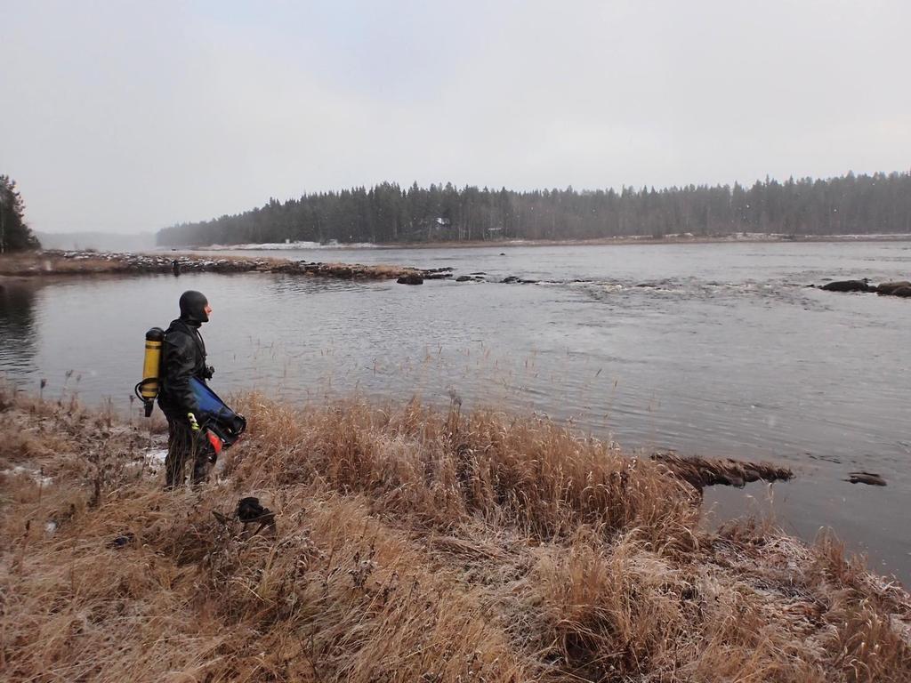 Taulukko 2. Havaitut simpukkalajit tutkimusalueittain. Mm=jokihelmisimpukka, Aa=pikkujärvisimpukka, Pc=litteäjärvisimpukka, Aa kuori ja Pc kuori=kuolleen yksilön tyhjä kuori.