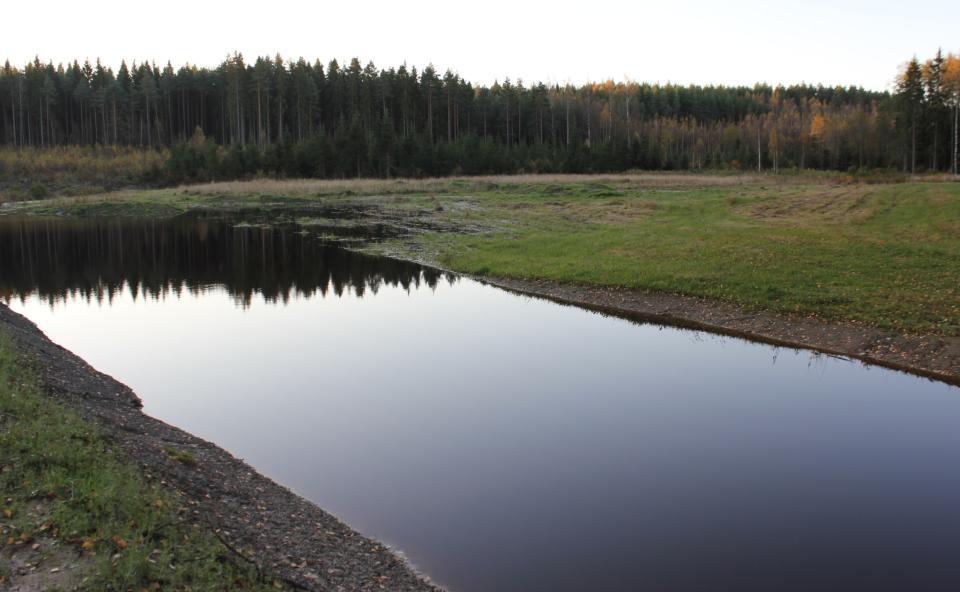 Kosteikon vesipinta jätetään ensimmäisen talven ajaksi selvästi suunniteltua