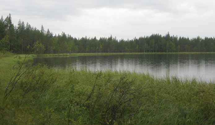 Lammen lähialueet ovat pääasiassa ojitettuja isovarpurämeitä.