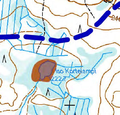 5. Suolampi [NT] Pieni suolampi, jonka ympärillä kasvaa lähes luonnontilainen isovarpuräme.