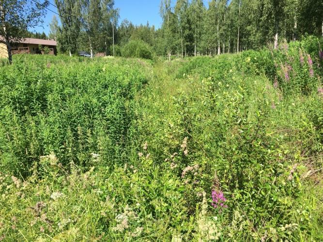 Havaitut/tiedossa olevat kuivatuksen ongelmakohteet Merkittäviä ongelmia hulevesiin liittyen (laatu tai määrä) ei Kiteellä ole.