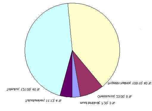 Julkinen Projektiraportti 0.5 Kettu-projekti Kuva 7.