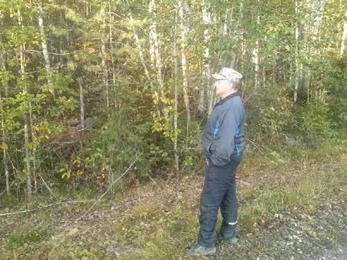 Raimo Jokikokko Tänään juttelemme Matin kanssa hieman metsällisistä asioista, vaikka syystyöt pelloilla ovatkin käynnissä. Metsässä hän pyrkii tehokkuuteen, niin kuin maidontuotannossakin.