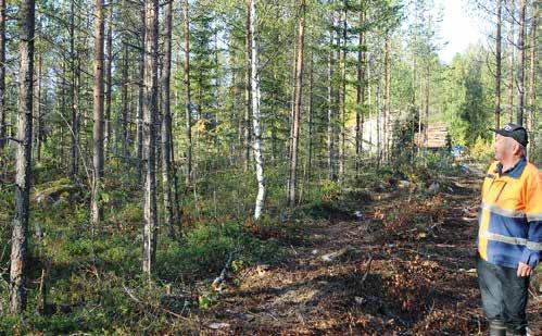 24 2/2014 Metsänomistajat Tämmöisiä hyvässä kasvukunnossa olevia metsiä on ilo katsella.