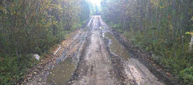 2/2014 29 Puunkorjuu Metsätilakaupan koukeroista Elämän tilanteet vaihtelevat ja saattaa tulla tarve ostaa tai myydä metsäomaisuutta.