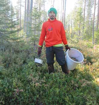 Yksityiset sahat ovat tällä hetkellä metsänomistajien pelastus, jos sahoja ei olisi, niin väitän, että puun hintataso olisi ainakin 10 % alempana kuin nyt. Kehityksen huomaa hyvin kuitupuussa.